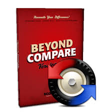 Beyond Compare Logo 